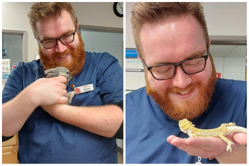 graduate vet with rabbit and reptile